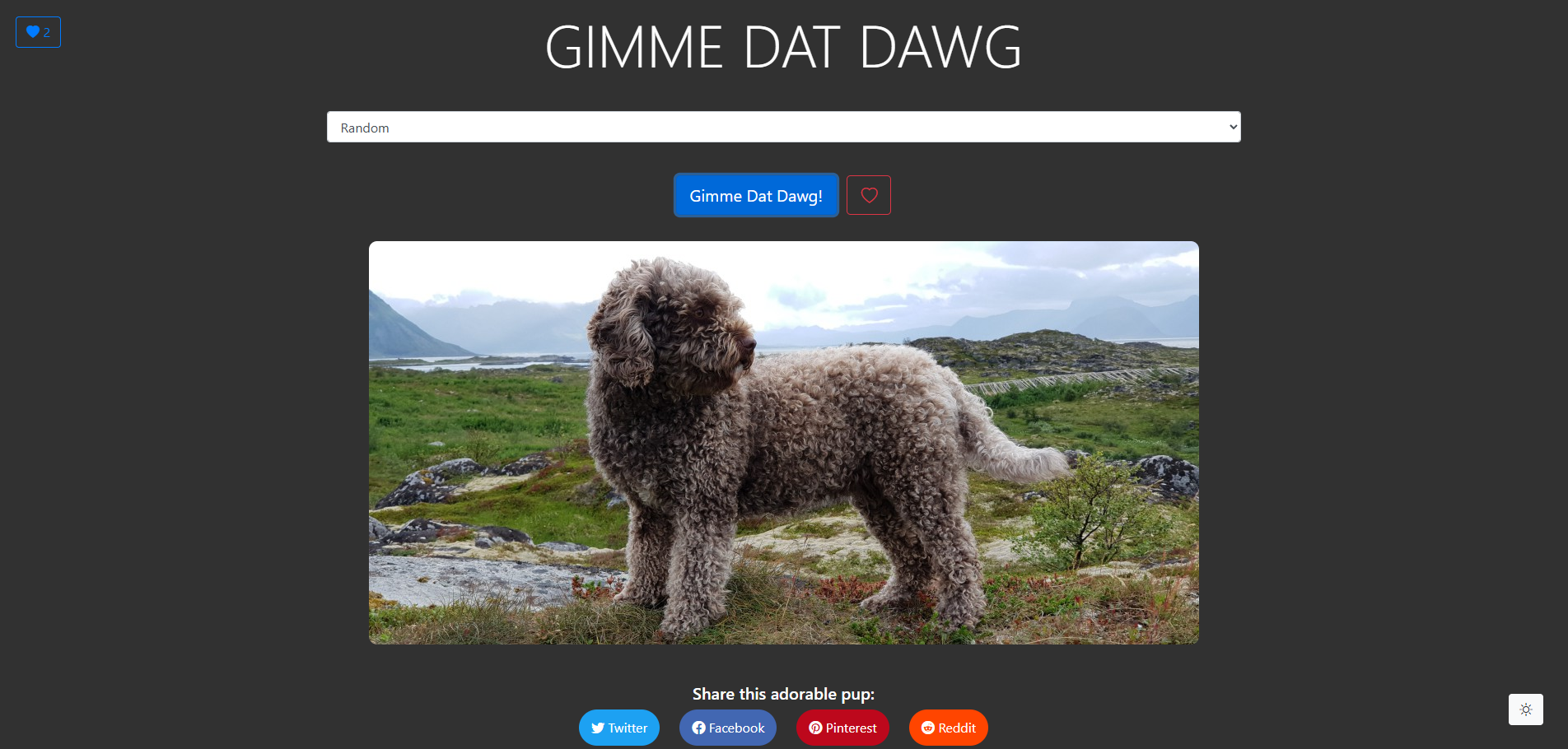 Gimme Dat Dawg